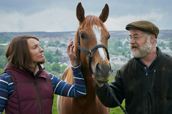 DREAM ALLIANCE. El caballo gales que hizo Soñar a un Pueblo