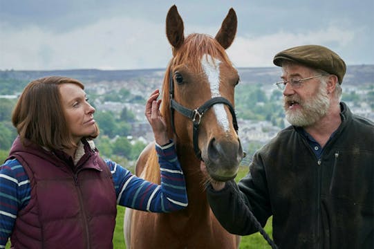 DREAM ALLIANCE. El caballo gales que ...