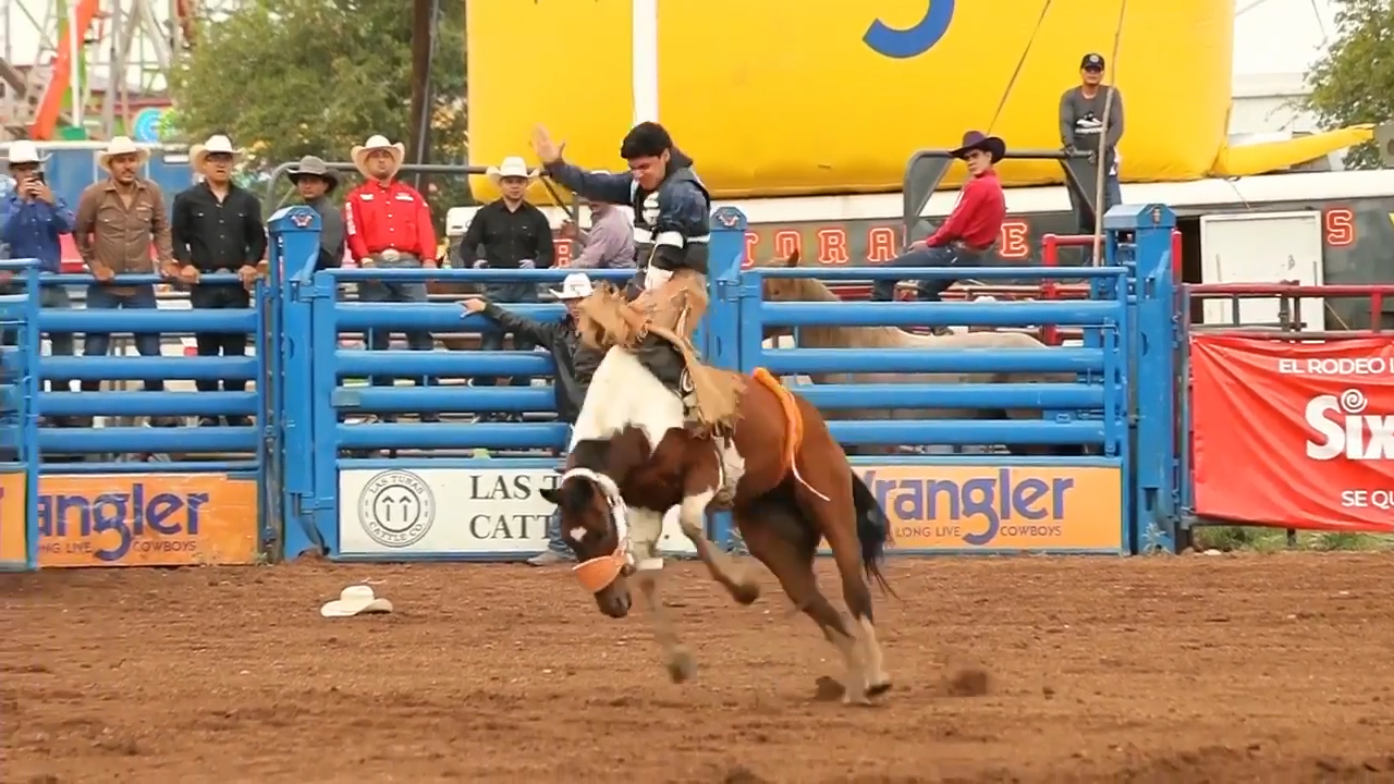 27/05 Caballos con pretal