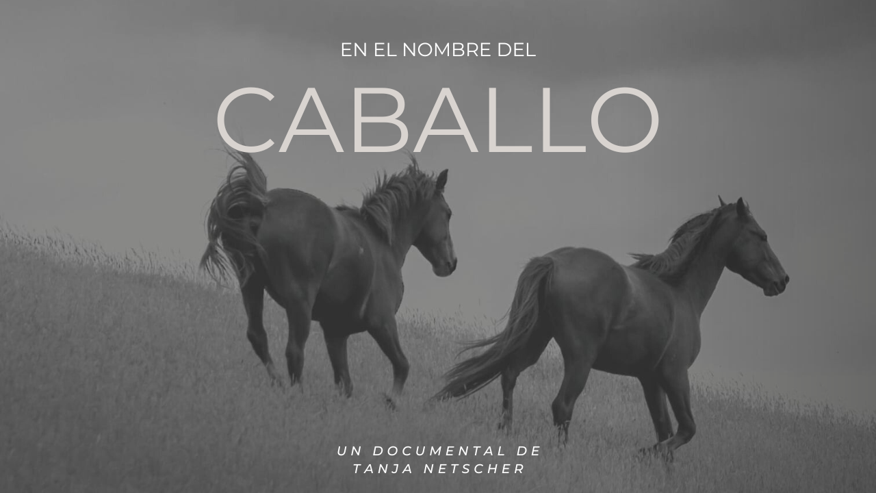 EN EL NOMBRE DEL CABALLO. By Tanja Netscher y Ricardo Samaniego