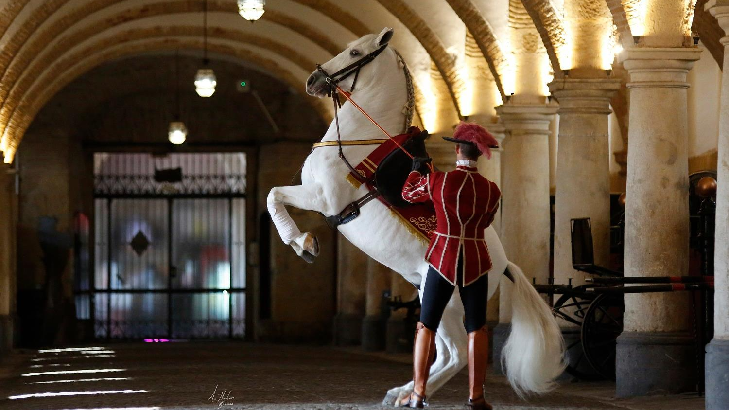 Las Caballerizas Reales de Córdoba