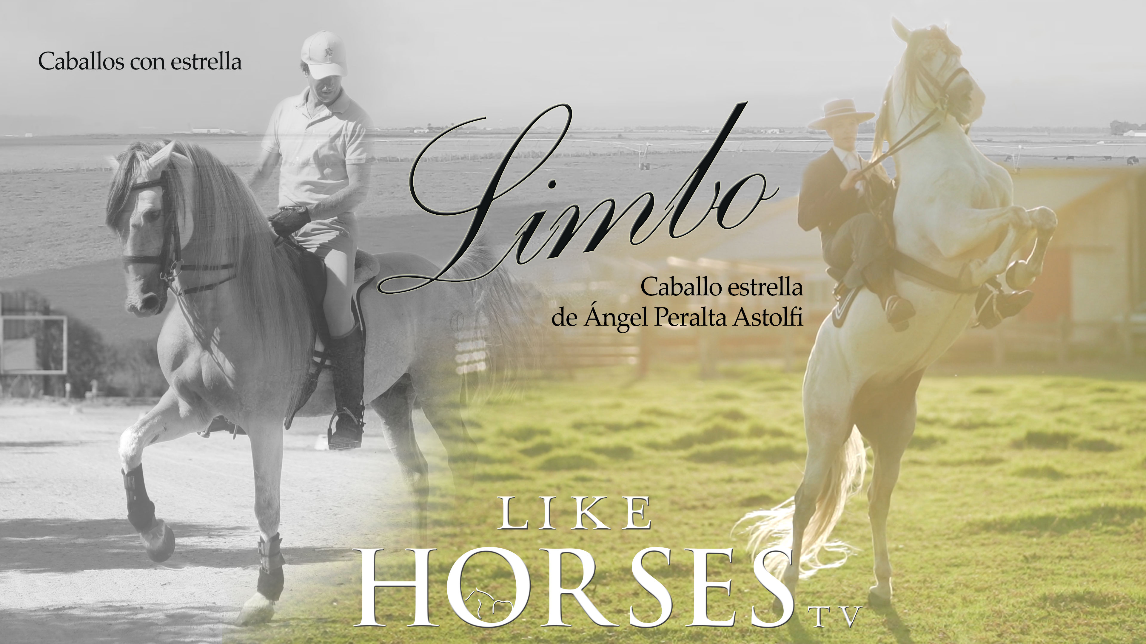 "LIMBO" - Caballos con estrella 