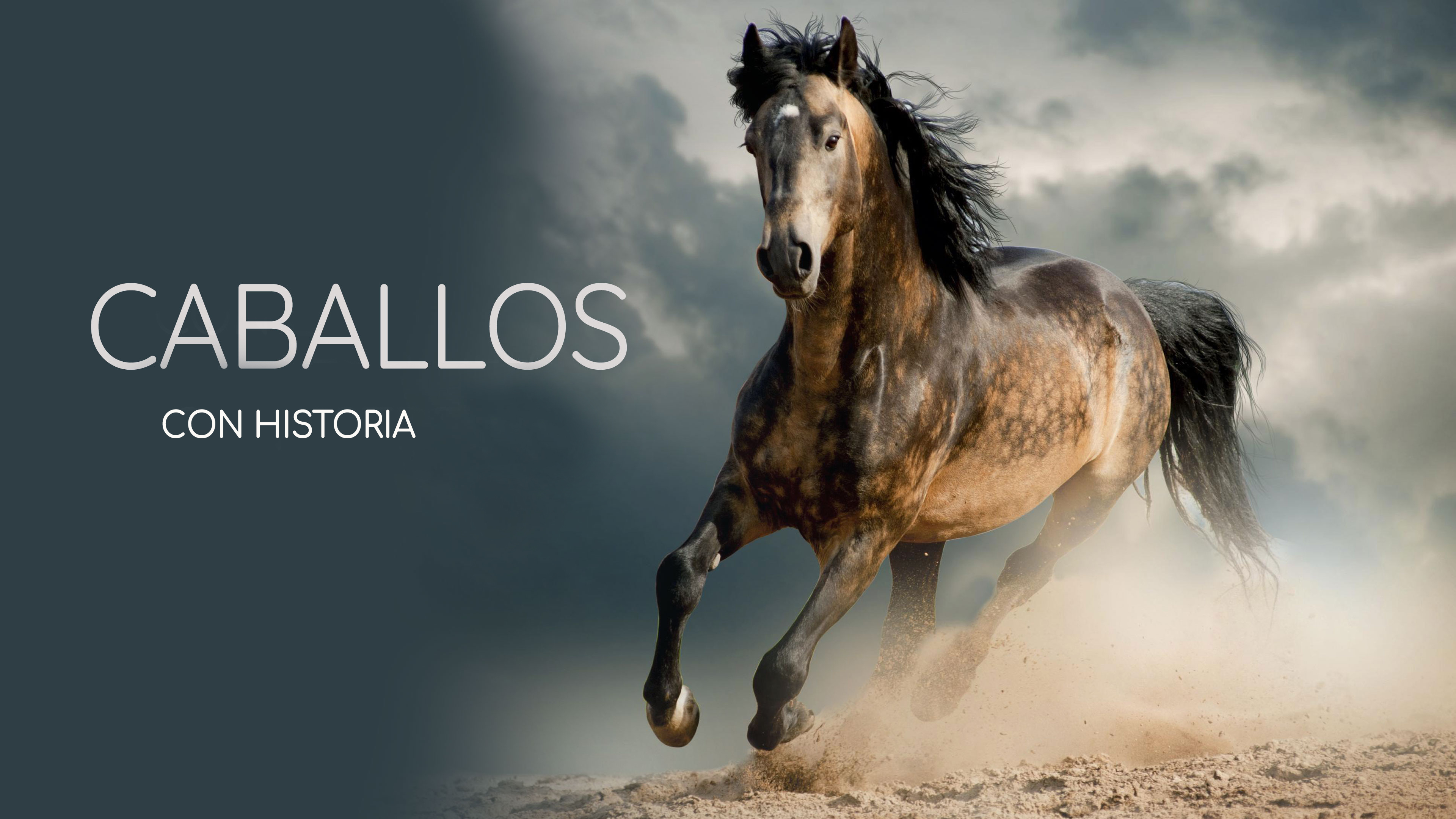 CABALLOS CON HISTORIA
