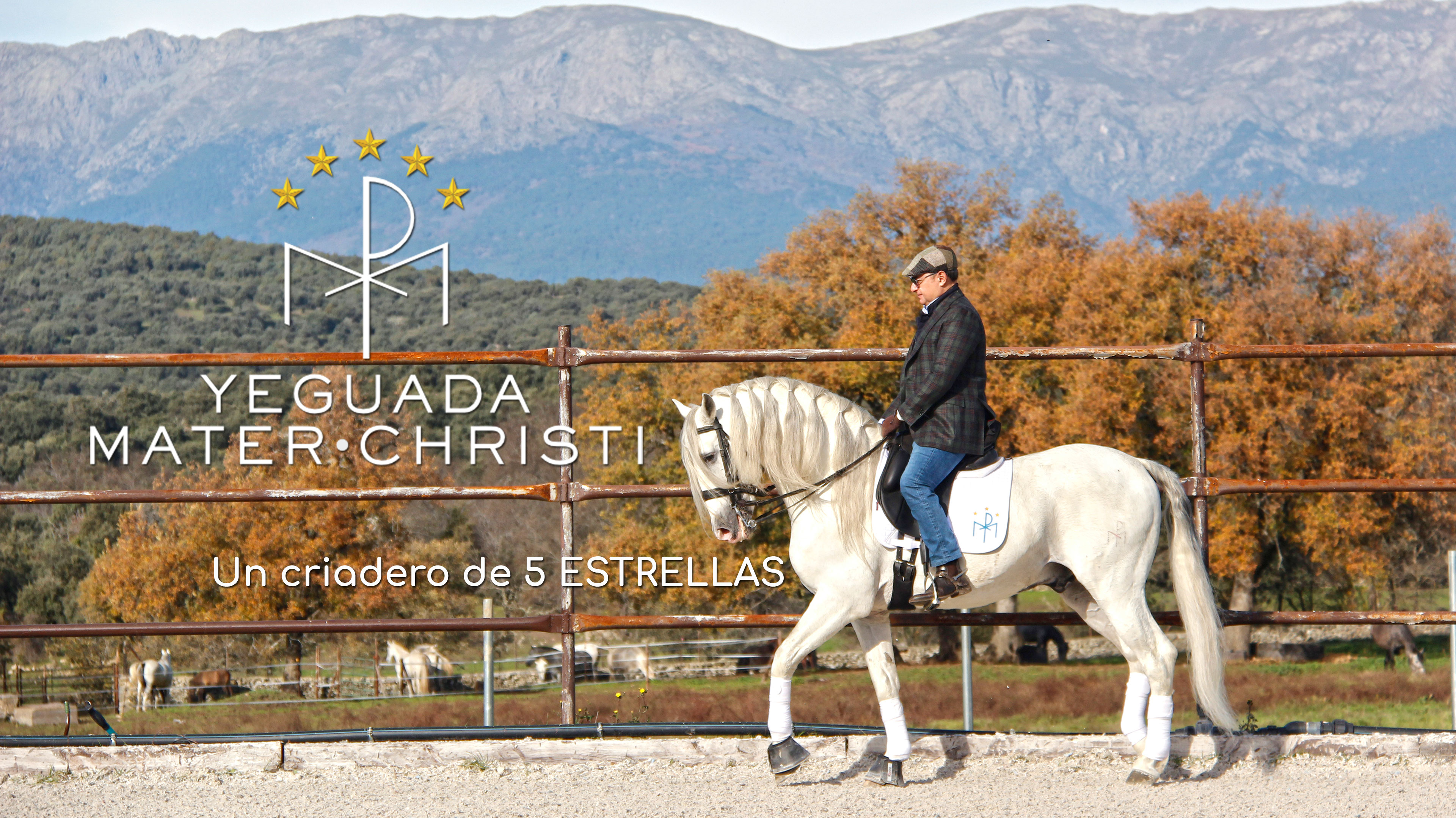 Yeguada Mater Chisti. Un criadero de 5 ESTRELLAS