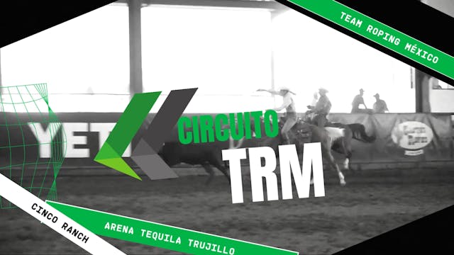 TRM fecha #14