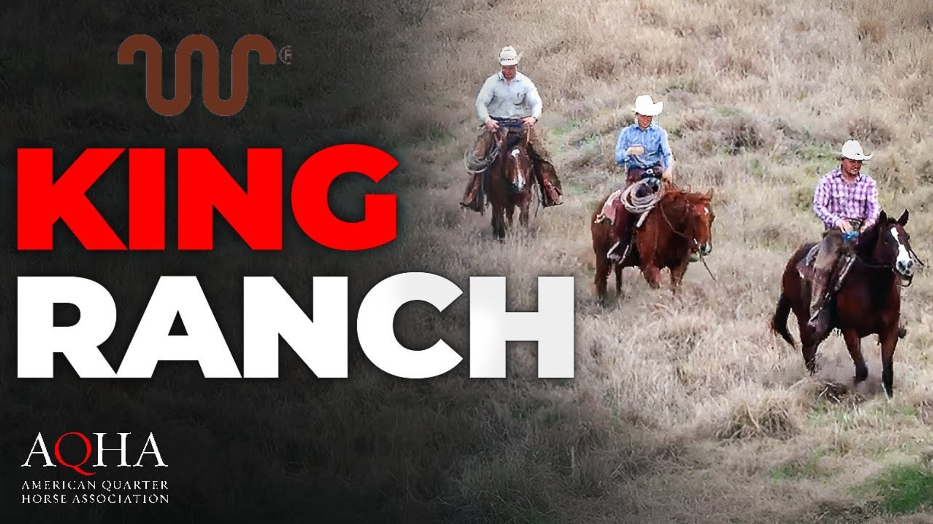 KING RANCH  AQHA 