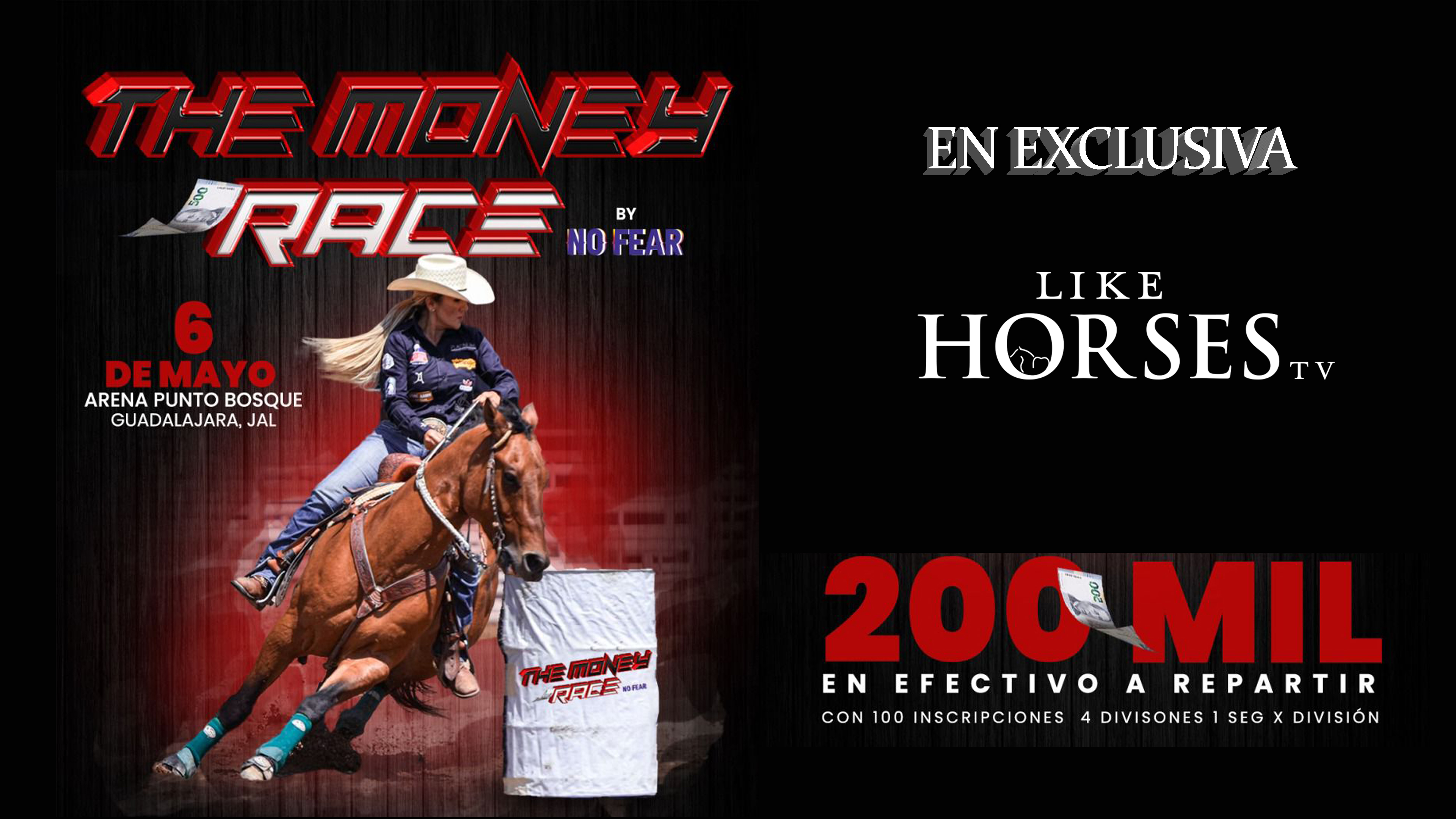 THE MONEY RACE barrel racing