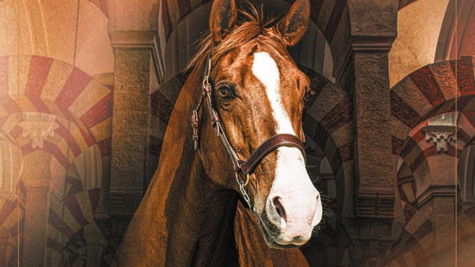 1º Campeonato de España de Caballo pura Raza Hispano-Árabe.