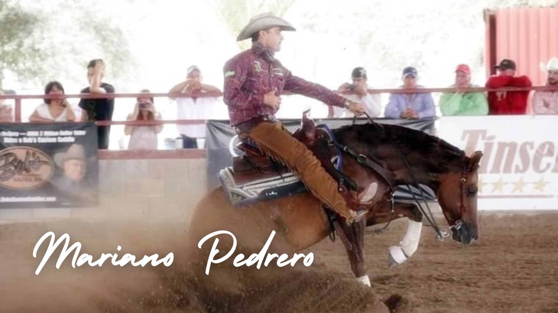 Iniciando potrillos - I