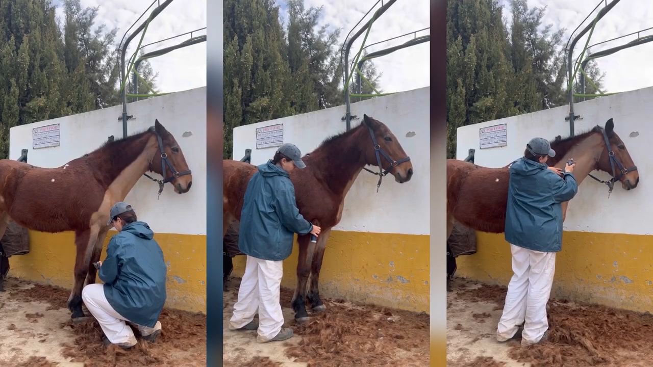 ✂️Tips ESQUILADO perfecto✂️