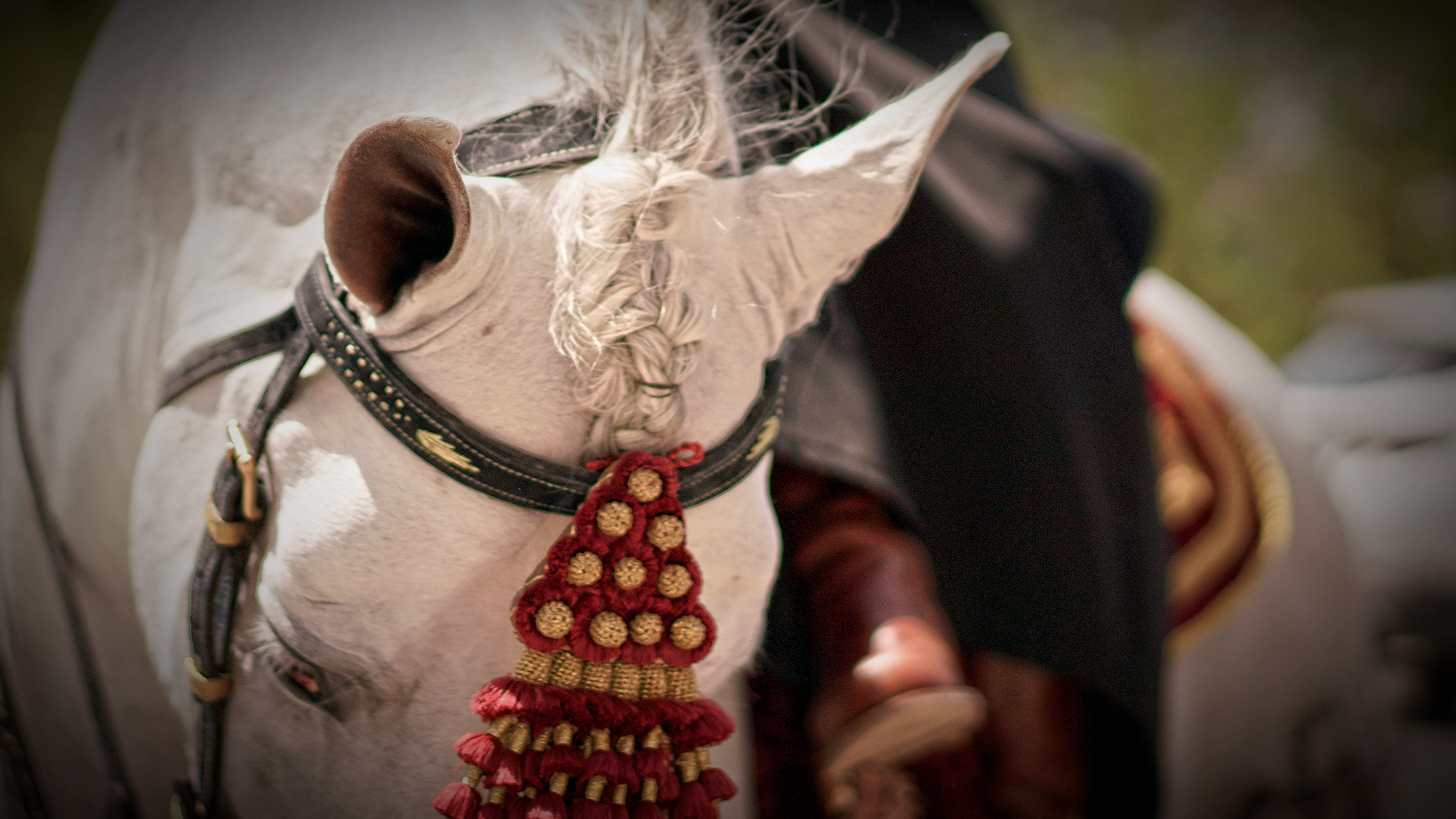 Paseo de Amazonas, Sevilla 2023