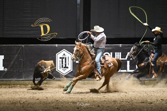 Highlights DESCENDIENTES FUTURITY 202...