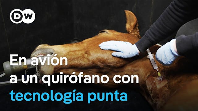 Clínica veterinaria de lujo para caba...