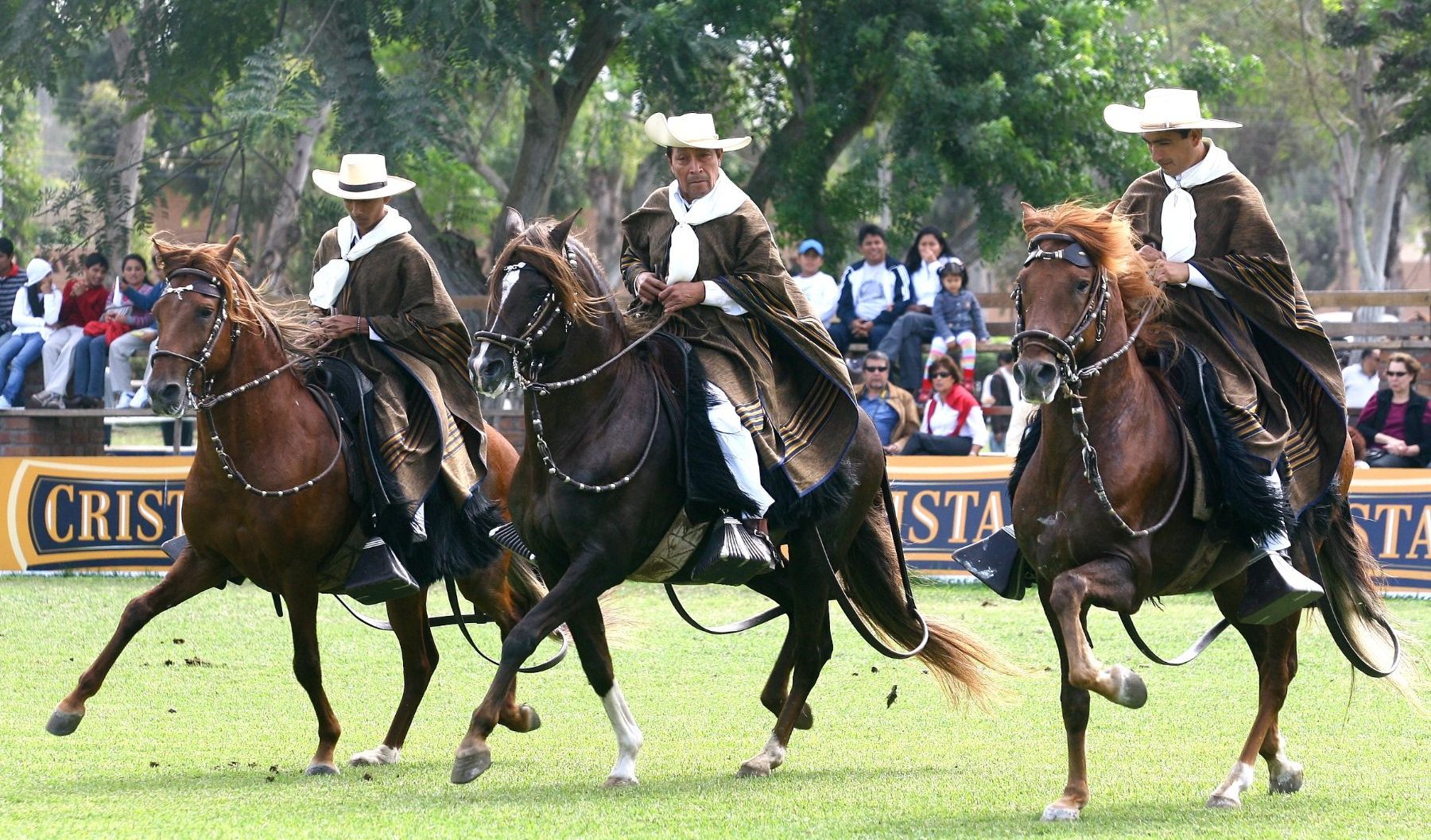 Caballo peruano de paso