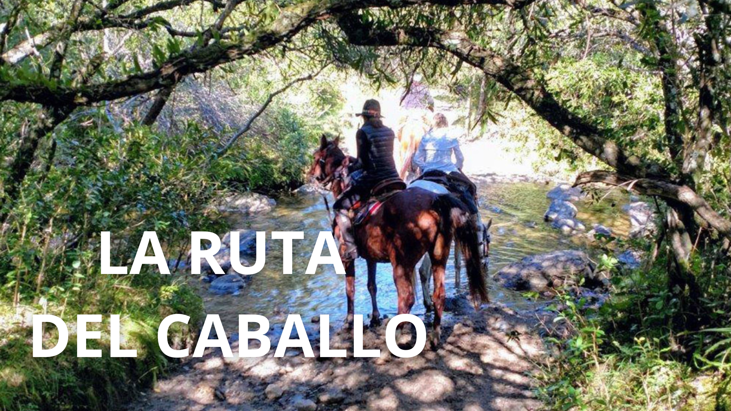 La Ruta del Caballo