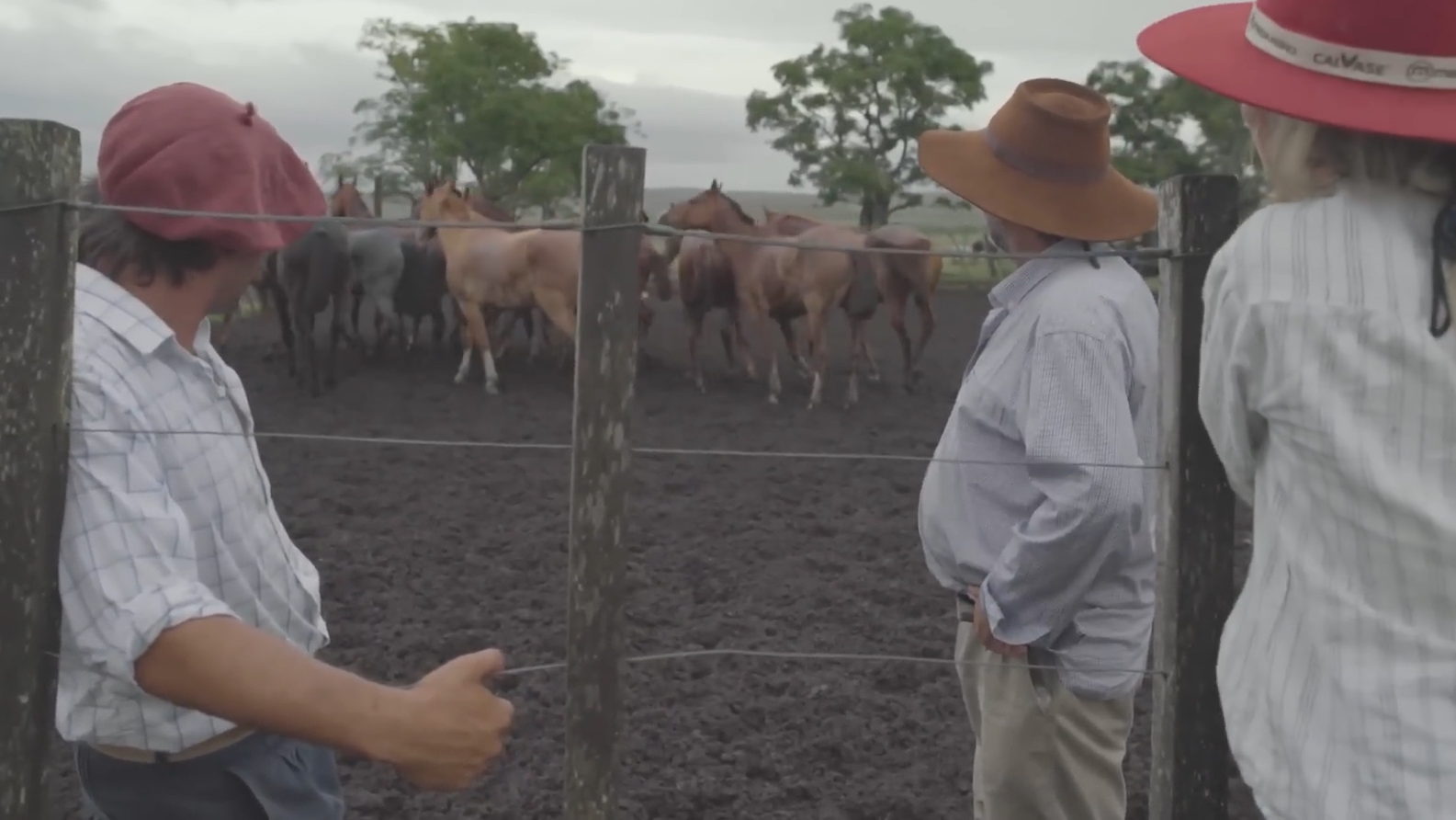 Tradición de campeones. Los Hermanos Teixeira