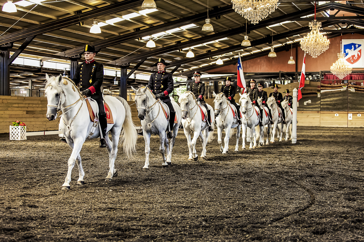 ESCUELA CLÁSICA LIPIZZANA en Chile