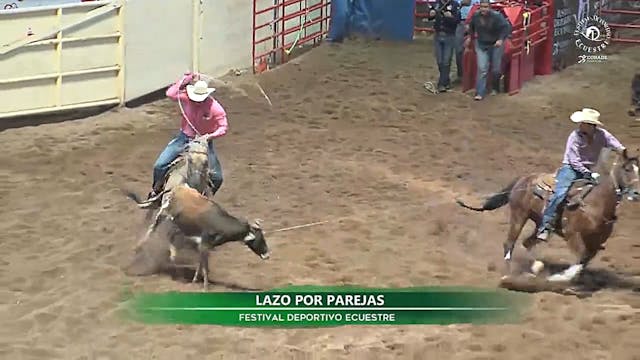 LAZO DE BECERRO, LAZO POR PAREJAS