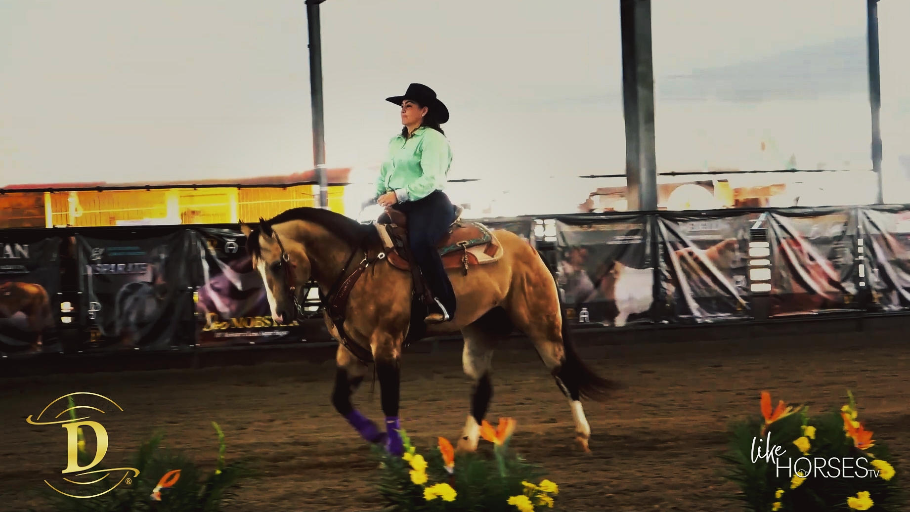 Criadores de DESCENDIENTES