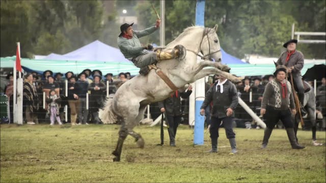 Fiesta del Basto, Argentina