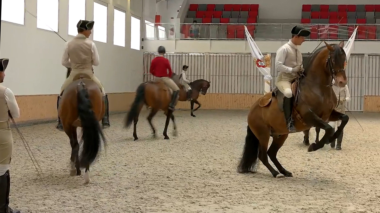 Mañanas en la "Escuela Portuguesa de Arte Ecuestre"