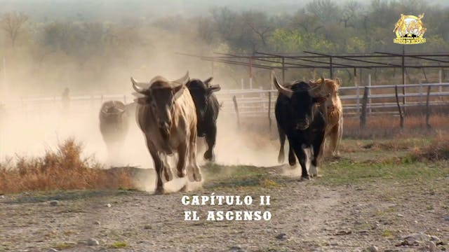  Capítulo II - El Ascenso