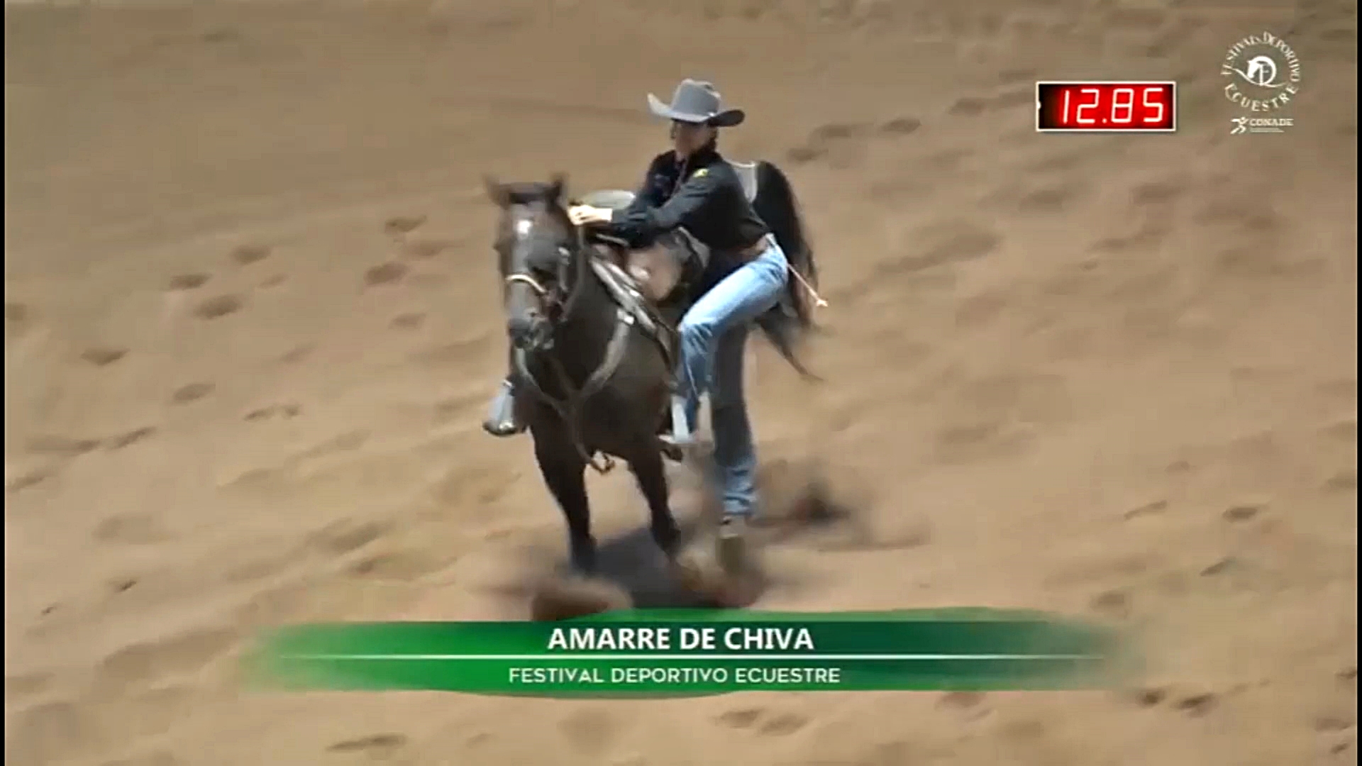 POLOS, AMARRE, LAZO EN FALSO Y CARRERA DE BARRILES