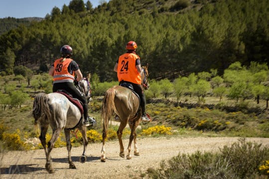 XXII Raid Hípico Internacional de Ade...