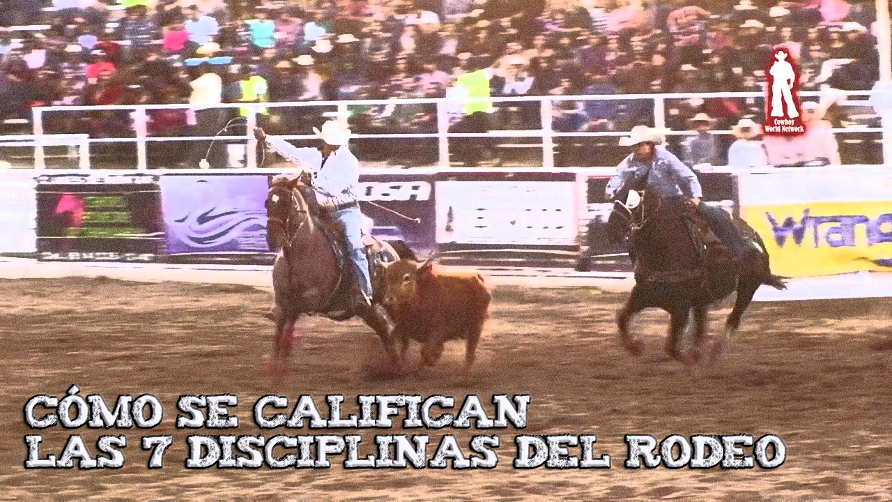 Cómo se califican las 7 disciplinas del Rodeo