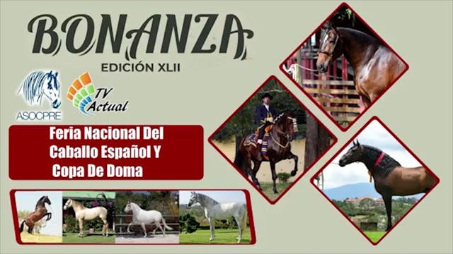 Día 2 - Bonanza XLII