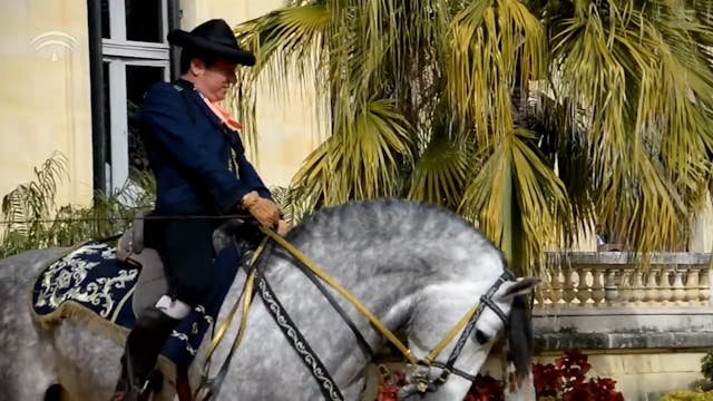 Cómo bailan los caballos andaluces