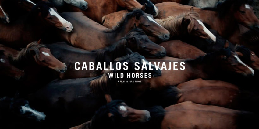 Caballos Salvajes