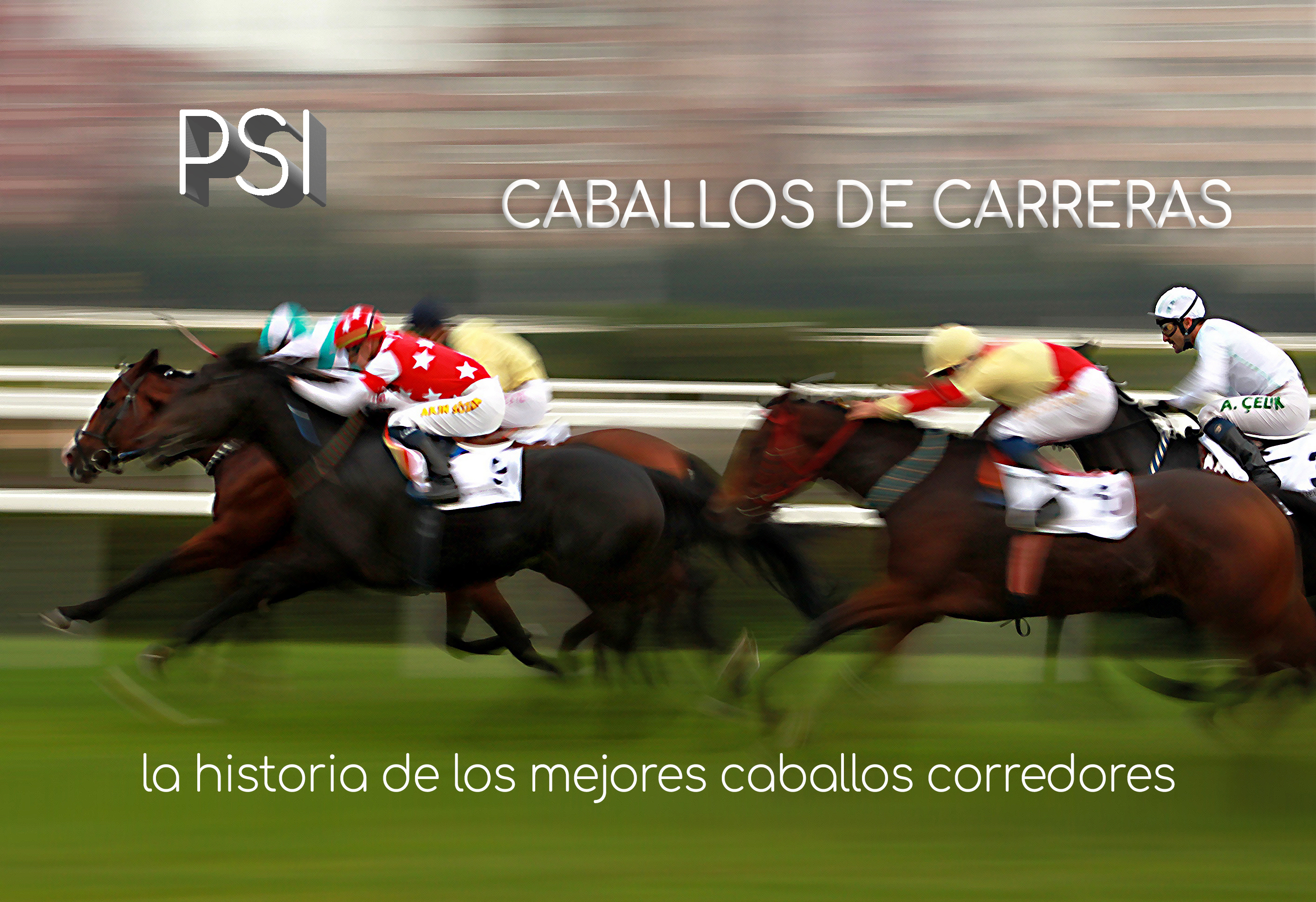 Caballos de carreras