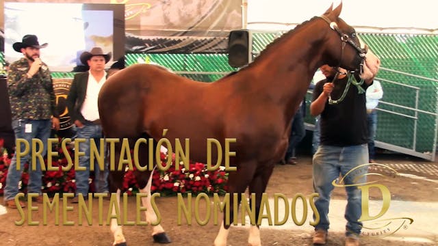 Descendientes Futurity en Tepa abril