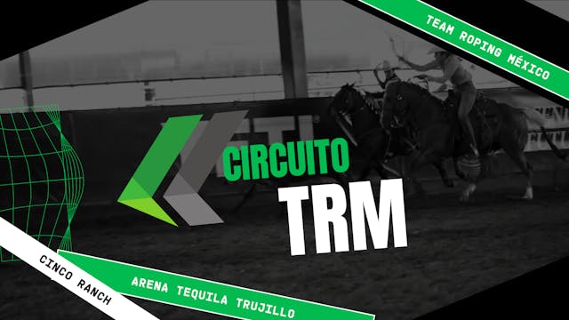 TRM fecha #11