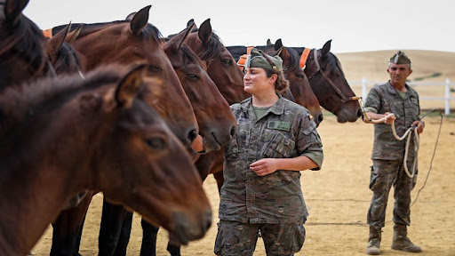 Centro Militar de Cría Caballar de Jerez