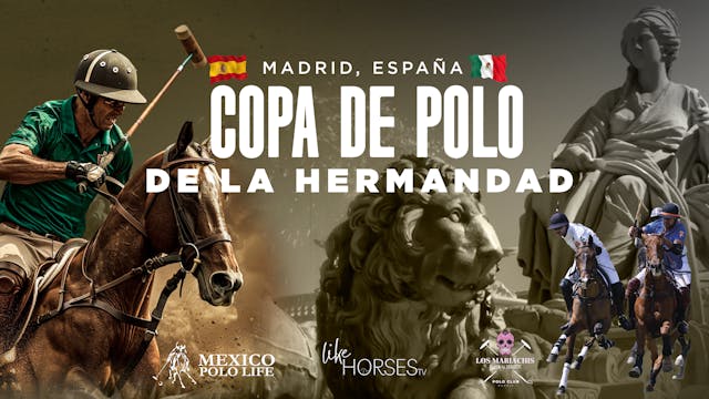 COPA DE POLO DE LA HERMANDAD