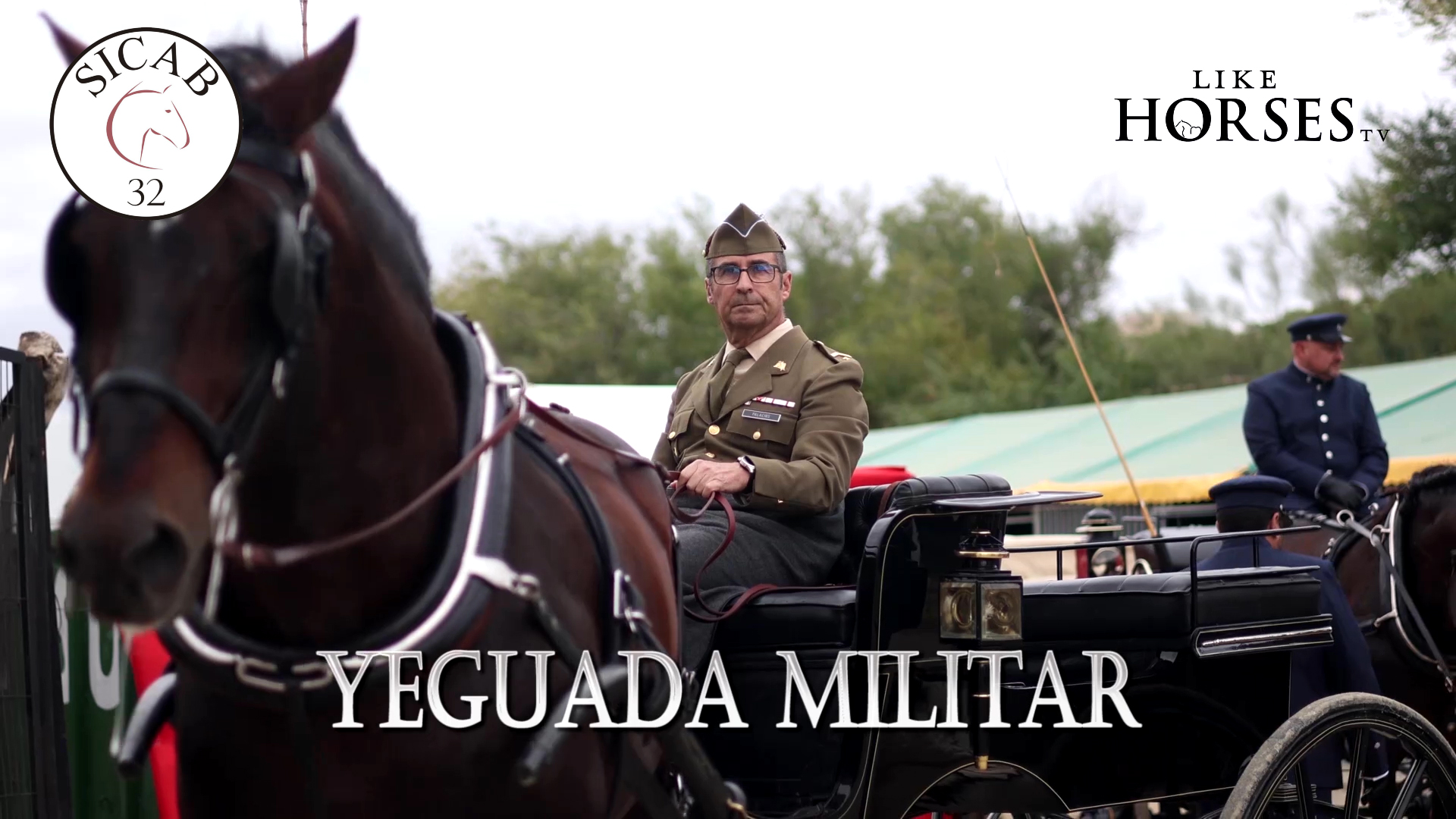 Yeguada Militar en SICAB
