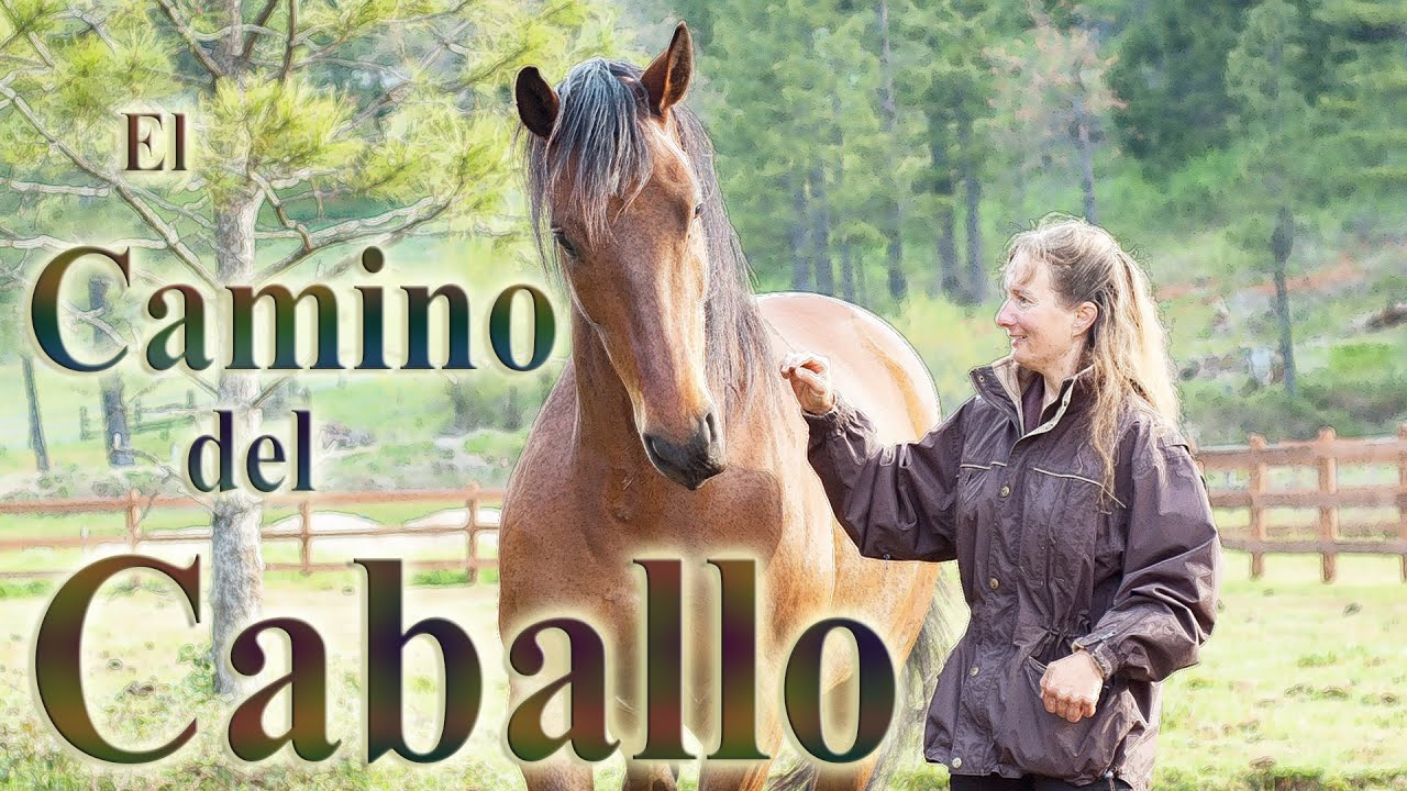El Camino del Caballo