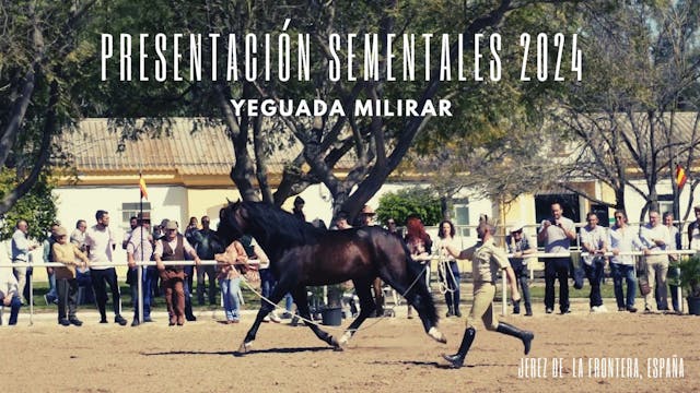 Sementales 2024 Yeguada Militar