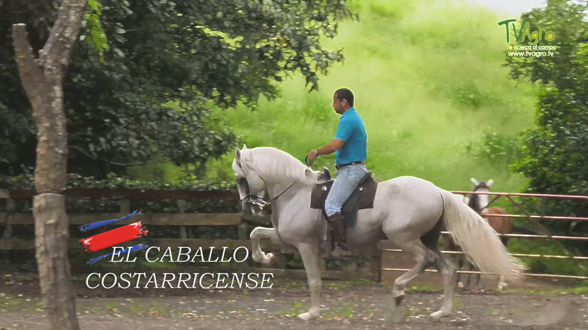 El Caballo Costarricense de Paso