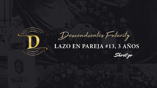  Lazada #13 Futurity 3 años Short go....