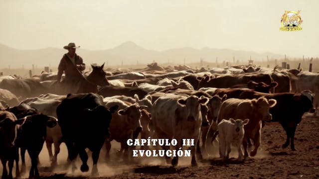 Capítulo III - Evolución