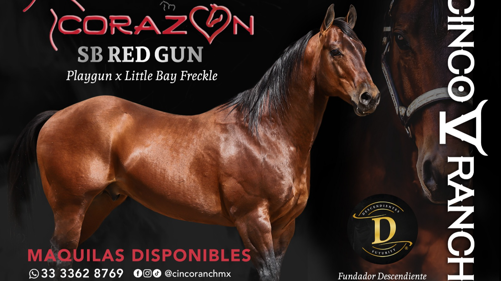 SB Red Gun "EL CORAZÓN"