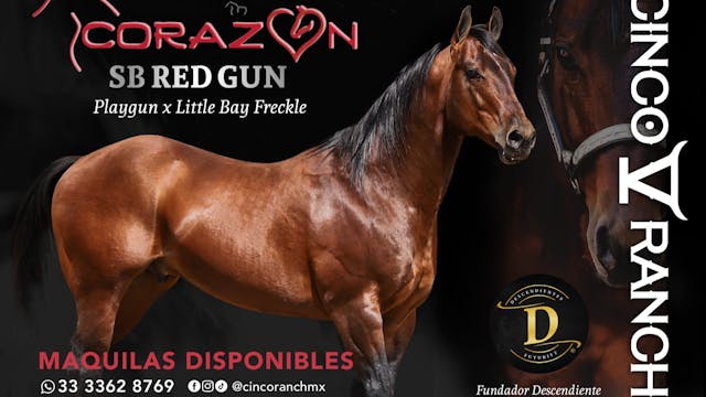 SB Red Gun "EL CORAZÓN"