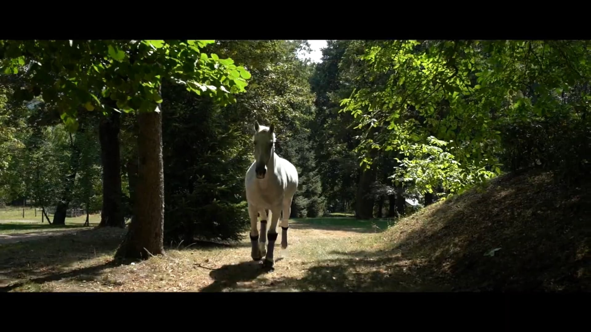 Welcome in our Wonderland