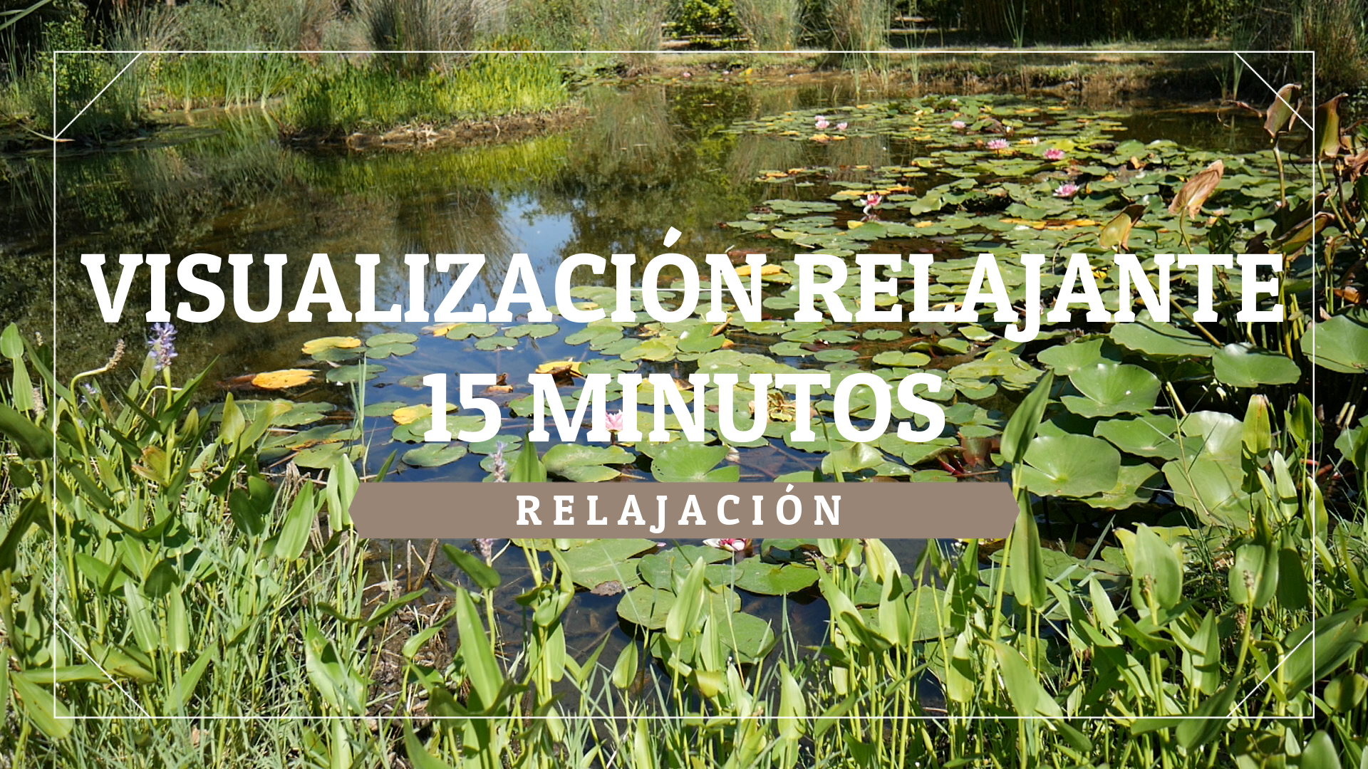 Relajación 15 minutos.