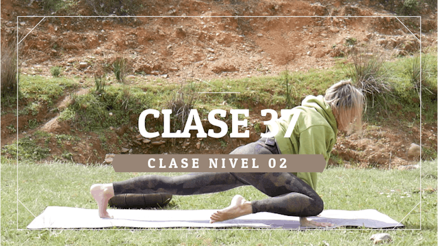 Clase 37 - Nivel 02