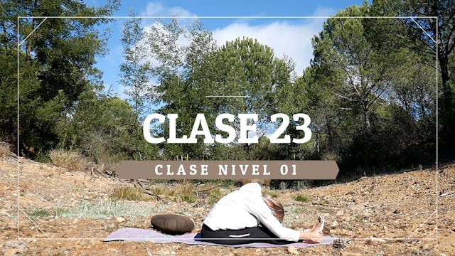 Clase 23 - Nivel 01