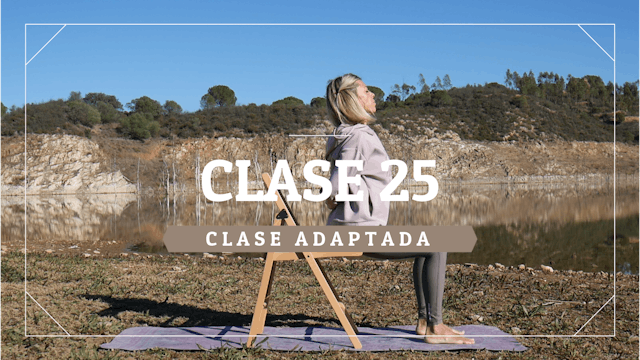 Clase 25 - Nivel adaptado